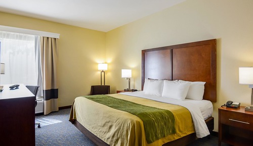 Zimmer, 1 King-Bett, barrierefrei, Nichtraucher (Roll-In Shower)