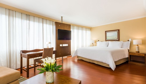 Junior-Suite, 1 Queen-Bett