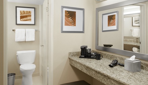 Standardzimmer, 1 King-Bett, barrierearm (Transfer Shower)