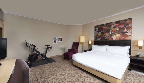 Zimmer, 1 King-Bett (Peloton Bike)