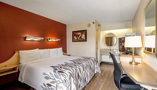 Standardzimmer, 1 King-Bett, Raucher