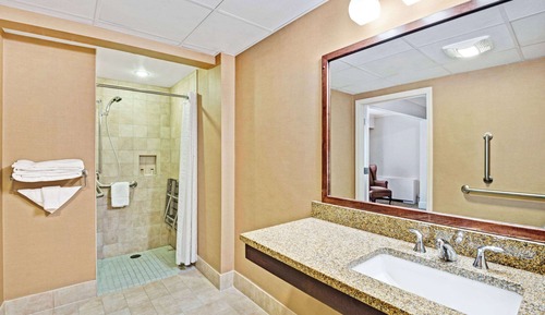 Suite, 1 King-Bett, barrierefrei, Nichtraucher (One-Bedroom)