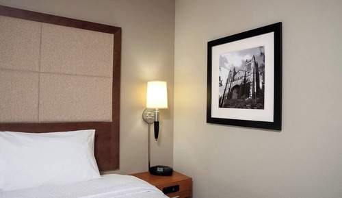 Standard Room, 1 King Bed Accessible Roll-In Shower