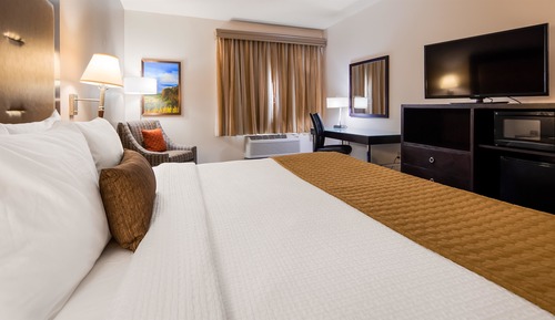 Standardzimmer, 1 King-Bett, Nichtraucher, Kühlschrank und Mikrowelle