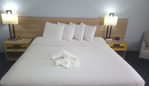 Zimmer, 1 King-Bett, barrierefrei, Nichtraucher (Roll-In Shower)