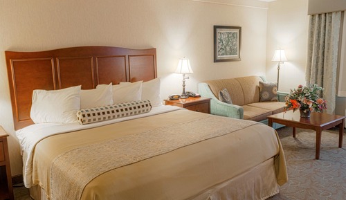 Standardzimmer, 1 King-Bett, barrierefrei, Nichtraucher (with Sofabed)