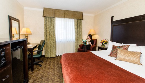 Standardzimmer, 1 King-Bett