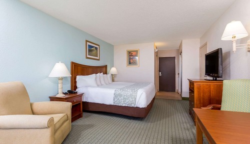 Zimmer, 1 King-Bett, Nichtraucher, Stadtblick (Pet-Friendly)