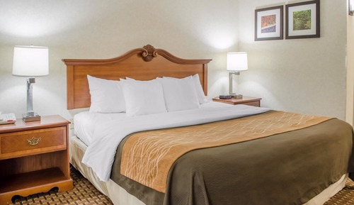 Standardzimmer, 1 King-Bett und Schlafsofa, Nichtraucher