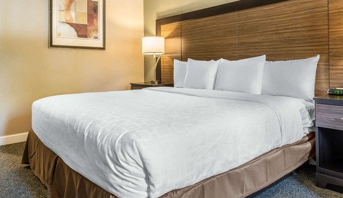 Standardzimmer, 1 King-Bett und Schlafsofa, Nichtraucher (2 Person Sofa Bed)