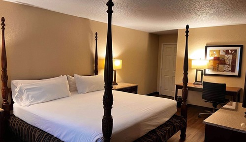 Suite, 1 King-Bett (Extended)