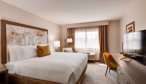 Standardzimmer, 1 King-Bett, barrierefrei, Nichtraucher (Walk-in Shower)