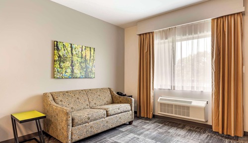 Suite, 1 King-Bett und Schlafsofa, barrierefrei, Nichtraucher (Efficiency)