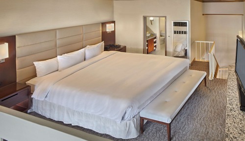 Presidential-Suite, 1 King-Bett