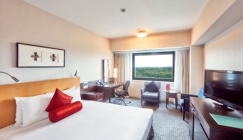 Standardzimmer, 1 King-Bett (Airport View)