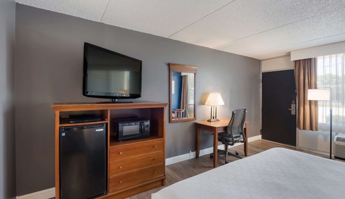 Standardzimmer, 1 King-Bett, Nichtraucher, Kühlschrank und Mikrowelle (Pet Friendly)