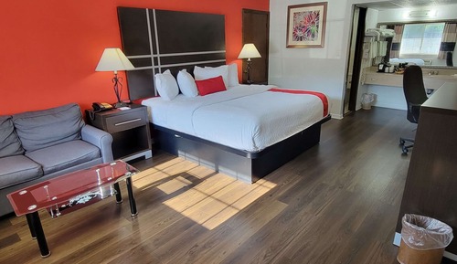 Zimmer, 1 King-Bett, Nichtraucher (Pet Friendly)