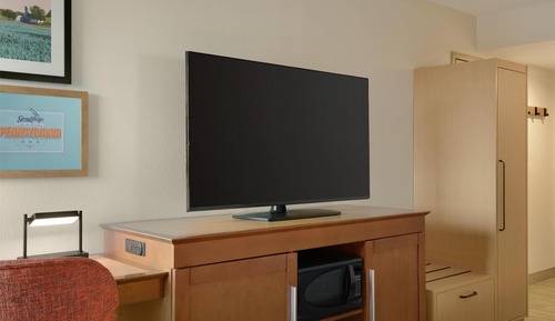 Zimmer, 1 King-Bett und Schlafsofa, Kühlschrank und Mikrowelle (Shower)