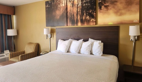 Standardzimmer, 1 King-Bett, Raucher