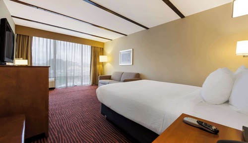 Standardzimmer, 1 Queen-Bett, Nichtraucher, Kühlschrank und Mikrowelle (with Sofabed)