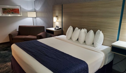 Standardzimmer, 1 King-Bett, Nichtraucher, Kühlschrank und Mikrowelle (with Single Sofabed)