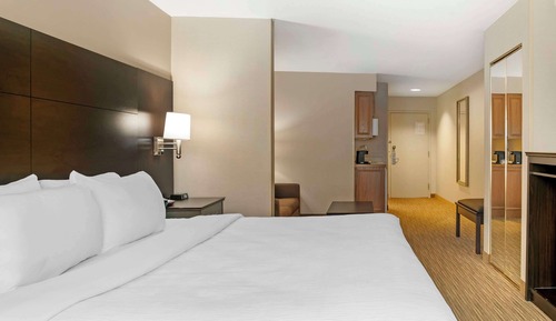 Suite, 1 King-Bett und Schlafsofa, Nichtraucher