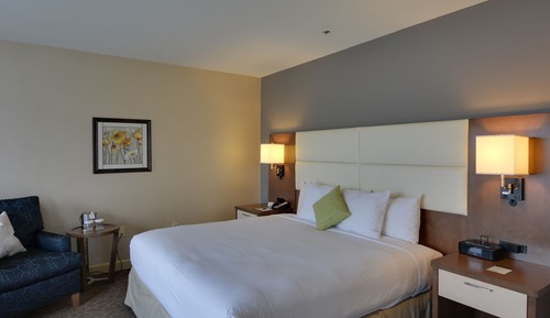 Premium-Suite, 1 King-Bett und Schlafsofa