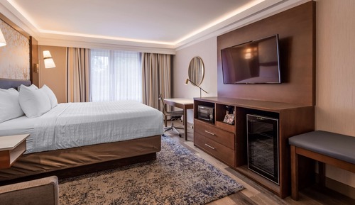 Standardzimmer, 1 King-Bett, Nichtraucher, Kühlschrank und Mikrowelle (with Sofabed)