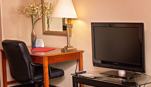 Suite, 1 King-Bett, Nichtraucher, Küche