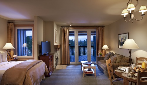 Apartment (Studio Condominium)