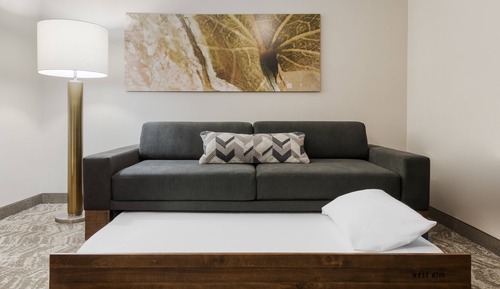 Standard-Studiosuite, 1 King-Bett und Schlafsofa (Mobility/Hearing Accessible, Tub)