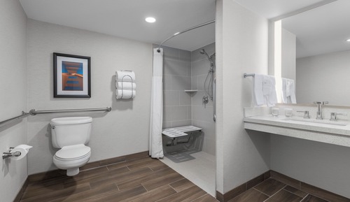 Zimmer, 1 King-Bett, barrierefrei (Mobility & Hearing, Roll-In Shower)