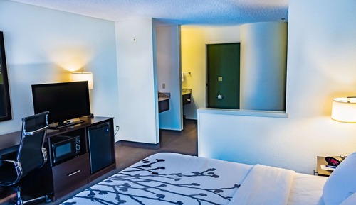 Suite, 1 King-Bett und Schlafsofa, Nichtraucher