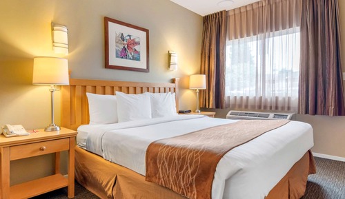 Zimmer, 1 King-Bett, Nichtraucher (Efficiency)