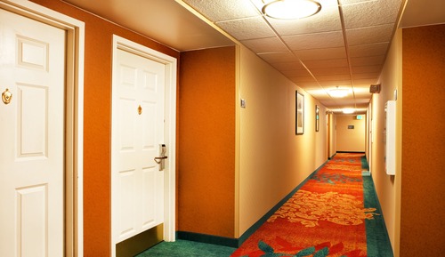 Studio, 1 King-Bett und Schlafsofa