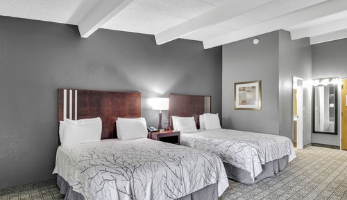 Zimmer, 2 Queen-Betten