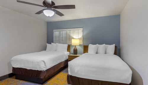 Suite, 1 Einzelbett, barrierefrei, Küche (with Single Sofabed, Full Kitchen)