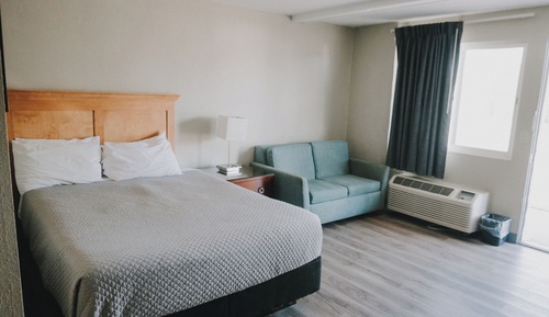 Room- Dog Friendly Queen Deluxe Room w/Sleeper