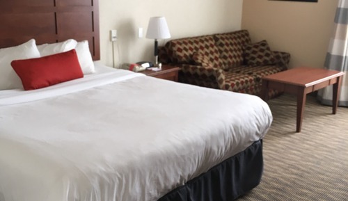 Zimmer, 1 King-Bett, Nichtraucher (Pet-friendly)