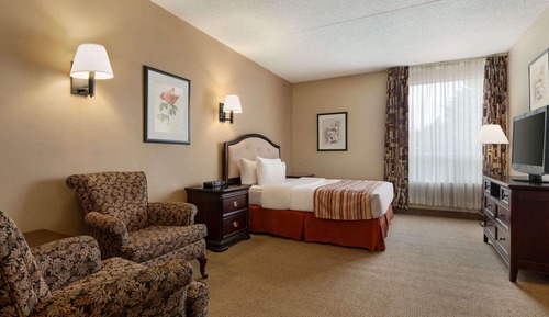 Zimmer, 1 Queen-Bett, Nichtraucher (Pet-friendly)