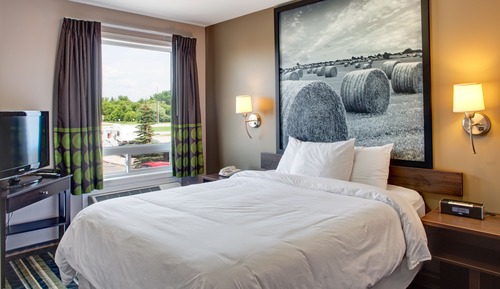 Zimmer, 1 Queen-Bett, Nichtraucher (One-Bedroom)