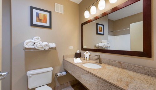 Standardzimmer, 1 King-Bett, Nichtraucher, Kühlschrank und Mikrowelle