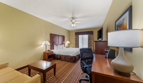 Executive-Zimmer, 1 King-Bett, Nichtraucher, Kühlschrank und Mikrowelle (with Sofabed)