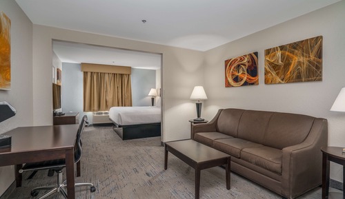 Business-Suite, 1 King-Bett, Nichtraucher, Kühlschrank und Mikrowelle