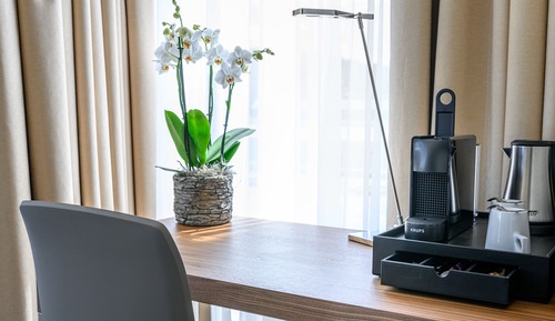 Suite, 1 Schlafzimmer
