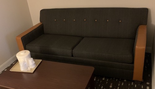 Standard-Studiosuite, 1 King-Bett und Schlafsofa, barrierefrei (Mobility/Hearing Accessible)