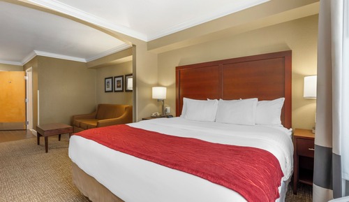 Suite, 1 King-Bett und Schlafsofa, Nichtraucher (Top Floor)