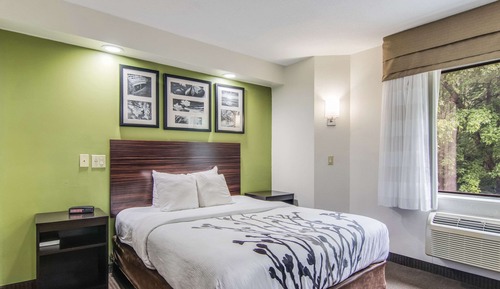 Zimmer, 1 Queen-Bett, Nichtraucher