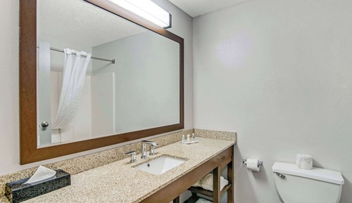 Suite, 1 King-Bett, Nichtraucher, Whirlpool