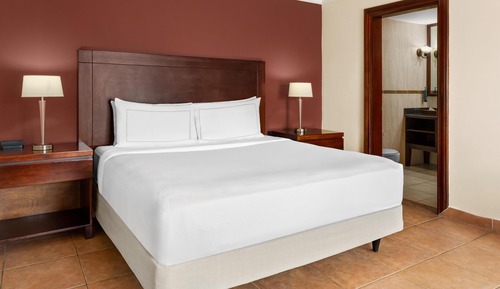 Executive-Zimmer, Zugang zur Business-Lounge